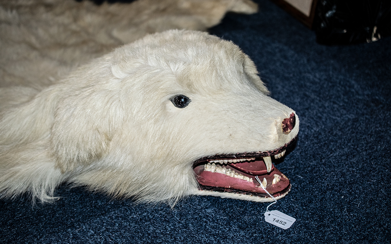 Large Polar Bear Rug, cream with articulated tongue, glass eyes and fitted teeth. - Image 3 of 3