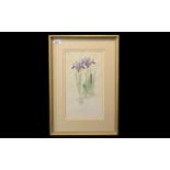 Mary Bates Botanical Watercolour of Iris Reticulata, framed and mounted behind glass, in a gilt