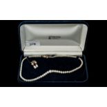 A 16 inch Graduation Pearl Necklace with 9ct gold clasp,