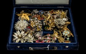 Collection Of Costume Jewellery, Mostly Brooches,