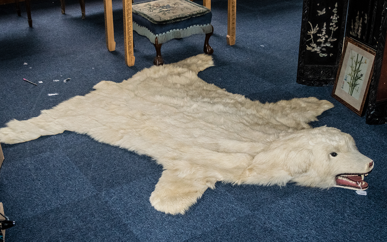 Large Polar Bear Rug, cream with articulated tongue, glass eyes and fitted teeth.