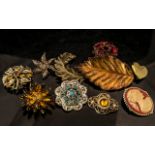 Vintage Costume Jewellery Brooches. Various Designs, Shapes and Sizes ( 10 ) In Total. Nice Little