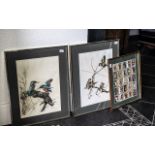 Two Large Limited Edition Edwin Penny Bird Prints 'Kingfishers' and 'Goldfinches', pencil signed