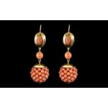 18ct Gold - Superb Quality Statement Pair of Coral Set Earrings / Drops of Top Quality.