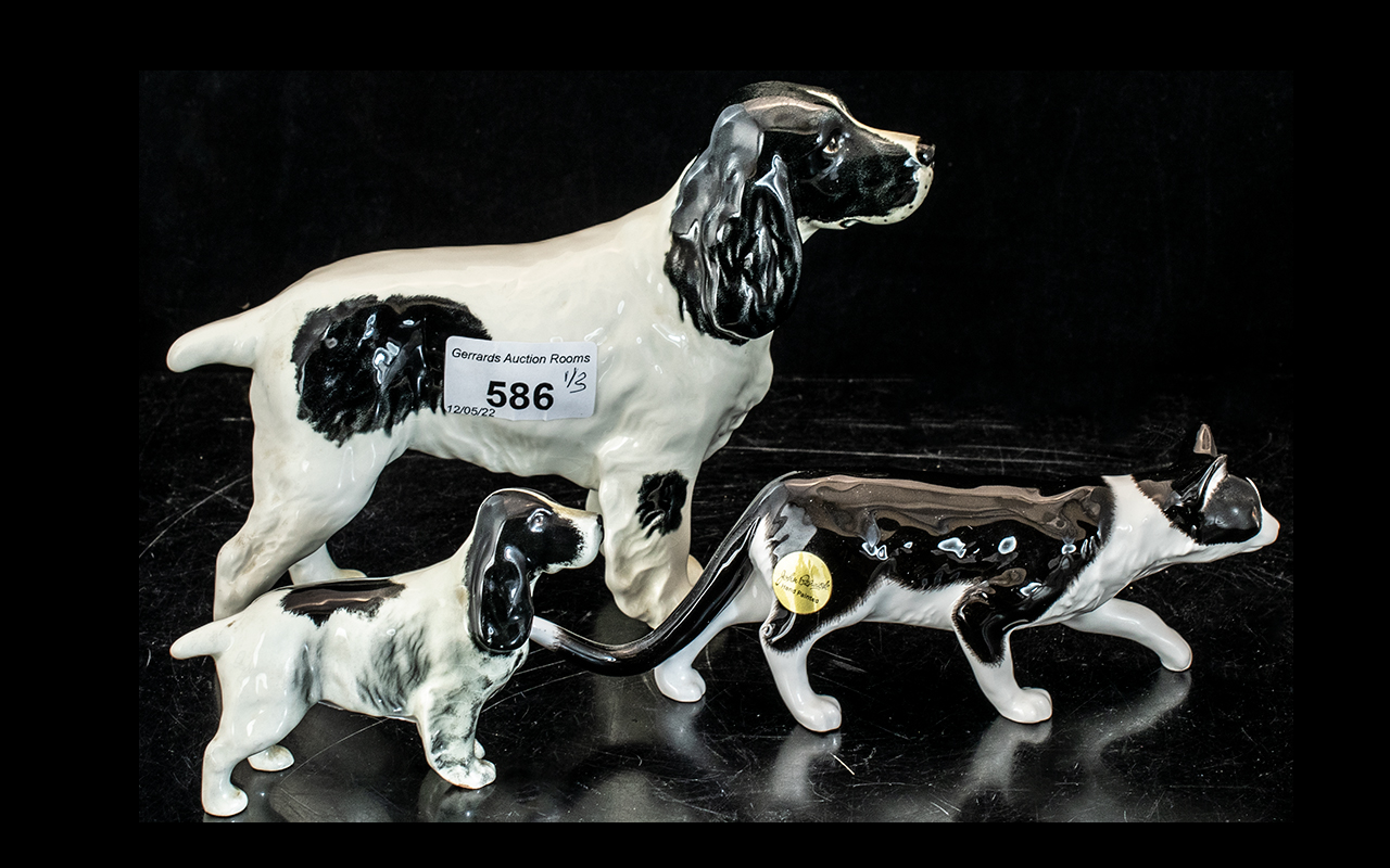 Two Beswick Cocker Spaniel Dogs, 8" x 6" and 4" x 3", white with brown markings.