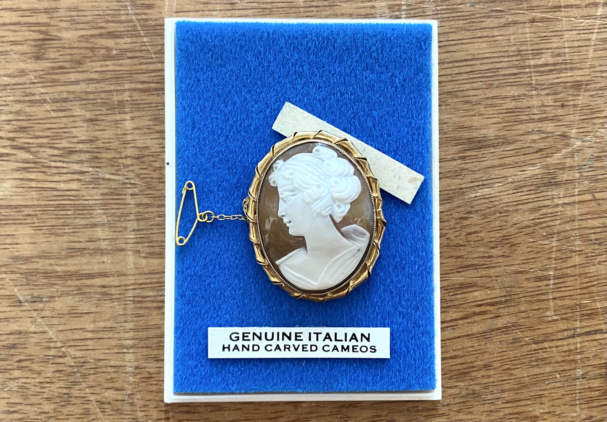 9ct Gold Cameo Cased In A Clear Plastic Case, Italian made. Approx Size 3 by 2.5 cms.