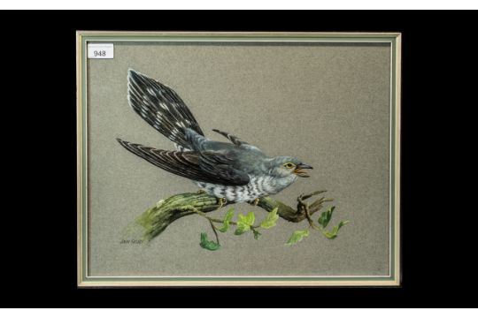 John Selby Watercolour 'Cuckoo on a Branch' 13" x 17", framed and glazed.