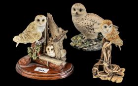 Collection of Border Fine Arts Owls, comprising Barn Owl Family No. RB34, a single Owl on a rock,