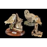 Collection of Border Fine Arts Owls, comprising Barn Owl Family No. RB34, a single Owl on a rock,