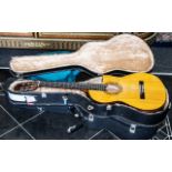 Electric Acoustic Guitar, with nylon strings. In fitted case.