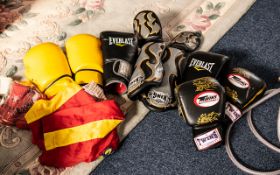 Boxing Equipment - comprising: one pair 10 ozs 'Twins' Gloves, one pair 12 ozs 'Everlast' Gloves,