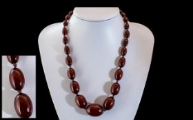 Edwardian Period Superior Quality Graduated Cherry Amber Beaded Necklace with gold clasp; 18.