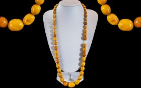 Early 20th Century Fine Quality Butterscotch Well-Matched Graduated Amber Beaded Necklace of Long