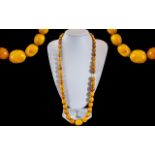 Early 20th Century Fine Quality Butterscotch Well-Matched Graduated Amber Beaded Necklace of Long