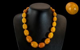 Superb - 1920's Butterscotch Amber Beaded Necklace of Wonderful Quality and Colour.