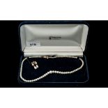 A 16 inch Graduation Pearl Necklace with 9ct gold clasp,