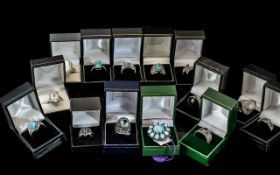 Collection of Fourteen Silver Dress Ring