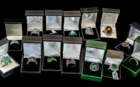 Collection of Fourteen Silver Dress Ring