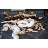 A Large Quantity of Fur Pelts, very good collection and condition.