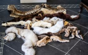 A Large Quantity of Fur Pelts, very good collection and condition. Includes Mink, Fox, Ocelot etc