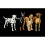 Collection of Four Sylvac Dogs, comprising Dalmation, Doberman, Great Dane, and Afghan Hound.