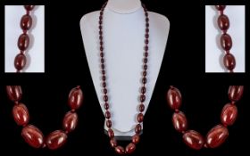 A Superb Early 20th Century Cherry Amber Graduated Beaded Necklace of Long Length.