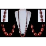 A Superb Early 20th Century Cherry Amber Graduated Beaded Necklace of Long Length.