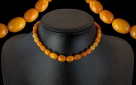 A 1920's Child's Size Butterscotch Amber Beaded Necklace, (graduated), with silver bolt clasp.