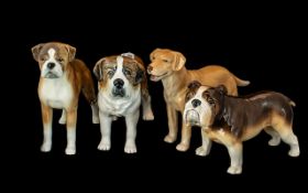 Collection of Four Sylvac Dogs, comprising Bulldog, Boxer, Golden Labrador and St Bernard.