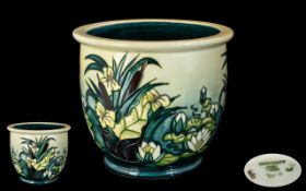 Moorcroft Modern Tube lined Jardiniere ' Lamia ' Design, Bulrushes and Lilies on Pale Yellow Ground.