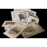 Collection of 19th & 20th Century Military Prints,