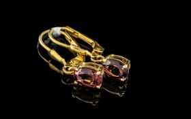 Pair of Garnet Drop Earrings, oval cut, single garnets of 1ct each, set in 14ct gold vermeil and