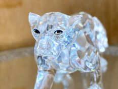 Swarovski Interest. Wild Cat Figure ' Panther ' With Box.