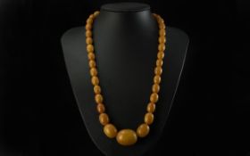 A Fine Quality Early 1920's Butterscotch Amber Graduated Beaded Necklace of Excellent Colour, Well