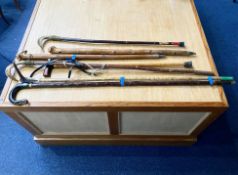 Collection of Antique and Vintage Walking Sticks, seven in total including horn handles. spikes