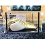 Boxing Interest Floyd Mayweather Signed VIP Glove with certificate of authenticity from A Host MC