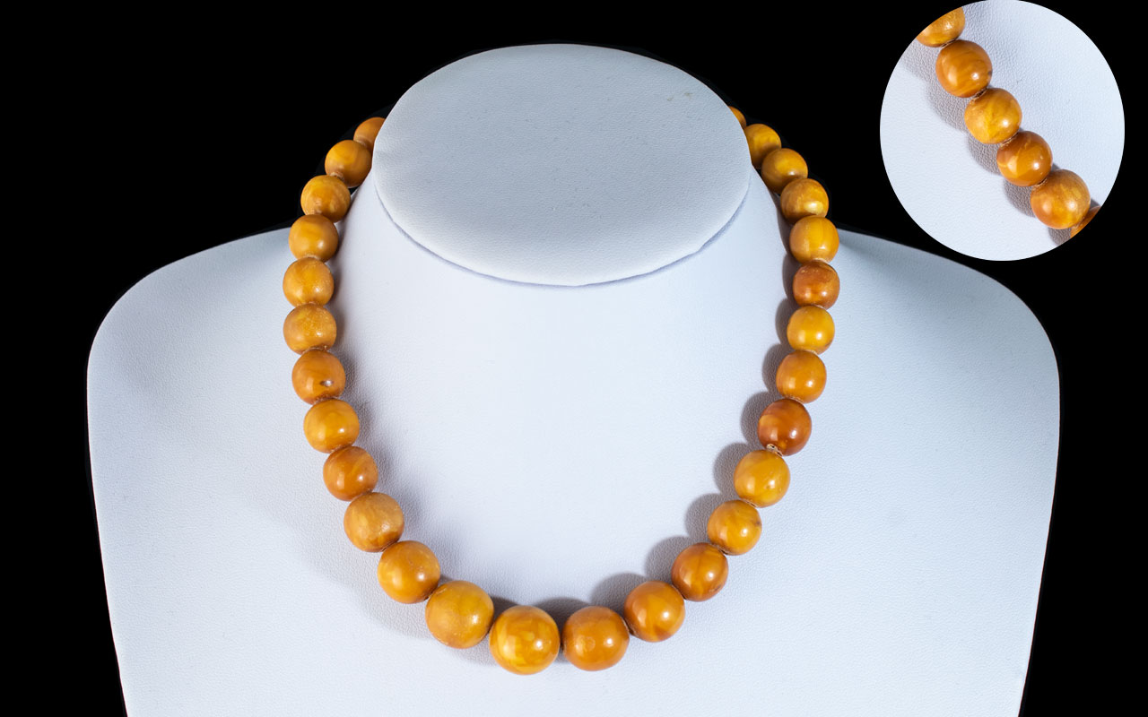 1920's Fine Quality Butterscotch Amber Beaded Necklace with Gold Tone Clasp. Good Colour and Well