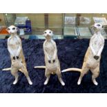 Meerkat Sculptures by Nick Mackman (Wildlife Artist of the Year 2014). Three pottery sculptures of