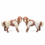 A pair of pottery St Bernard dogs
