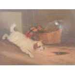 G Clark, Terriers in an interior