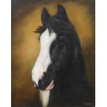 Portrait of a horse, oilon canvas.