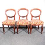 Set of three Victorian mahogany balloon back dining chairs,