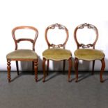 Set of four Victorian walnut hoop-back dining chairs, carved decoration to the cresting, on