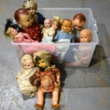 Twelve vintage dolls, bisque head and celluloid.