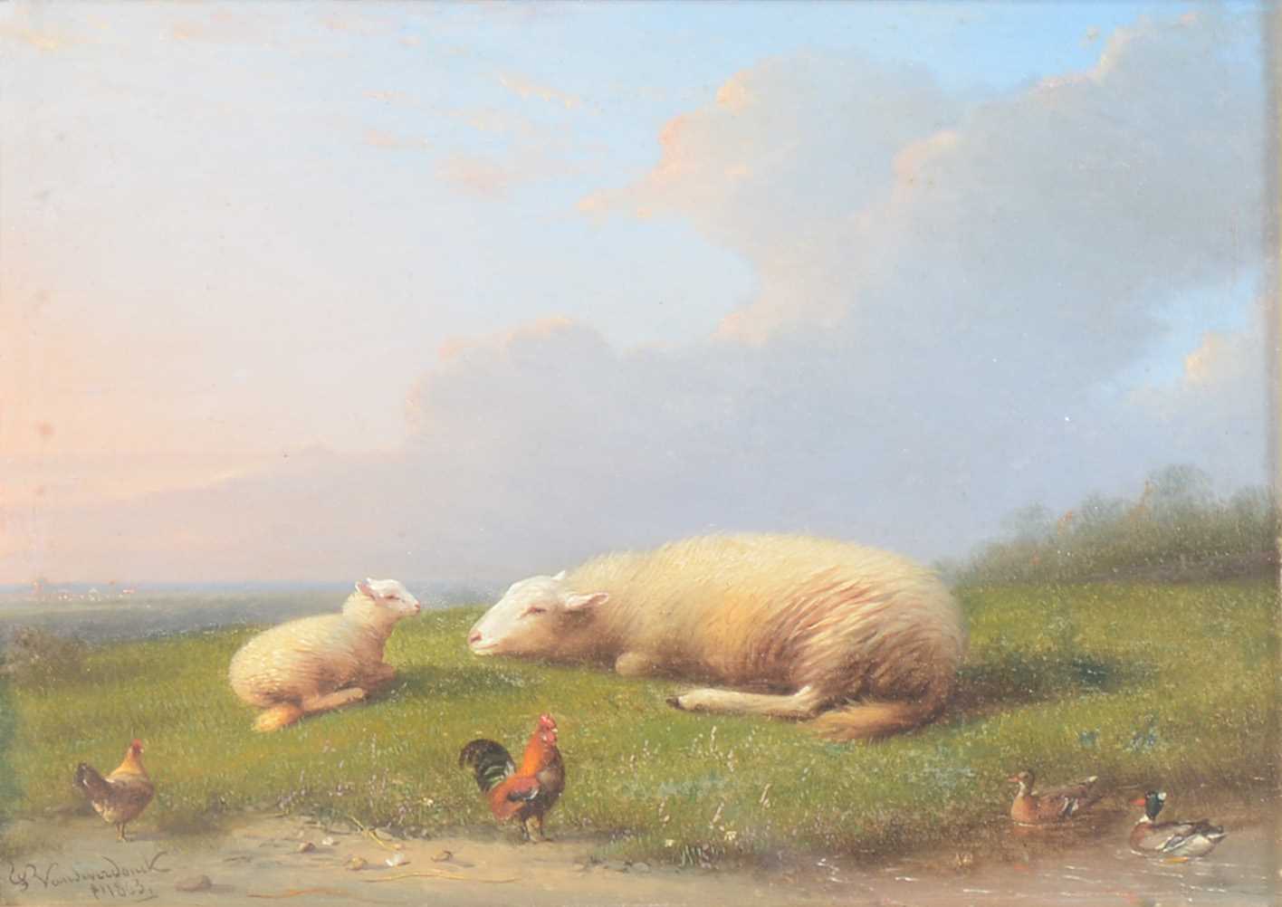 Franz van Severdonck, Sheep in a meadow