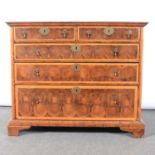 A William and Mary oyster laburnum chest of drawers