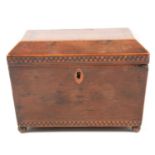 A Regency yew wood and parquetry tea caddy