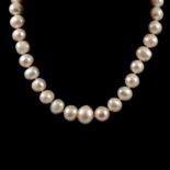 A graduated cultured pearl necklace.