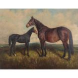Herbert St John Jones - Pamela II and her filly foal