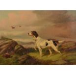 Colin Graeme Roe - Pointer in a landscape